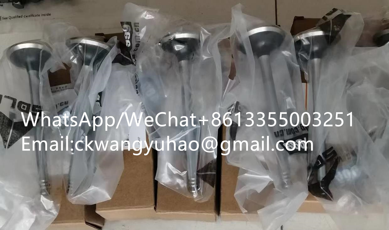 11219935 - 4120005494011 	BUSHING	4120005020012 	BUSHING
4120005021012 	BUSHING	4120005020012 	BUSHING
11211152 	COMPRESSOR	11212853 	COMPRESSOR
4110000555002 	OIL FILTER	4110000127014 	OIL FILTER
4011000628 	BOLT	4011000440 	BOLT
4120001040 	NIPPLE	4120002237 	NIPPLE
4120004489005 	RETAINING RING	4120003685002 	RETAINING RING
7200001873 	Nut	7200001987 	NUT
4041000690 	HOSE	29110009071 	HOSE ASSEMBLY
11214590 	SUPPORT	11210643 	SUPPORT
2050900021 	FINAL DRIVE	29090001061 	FINAL DRIVE
4110000909065 	PISTON COOLING JET	4110000991021 	PISTON COOLING JET
4110000909067 	SCREW	4110000054126 	SCREW
7200002354 	BOLT	4110000054126 	SCREW
4110000846168 	SCREW	4110000054126 	SCREW
4110000909122 	BEARING SHELL	4110000846128 	BEARING SHELL
7200002376 	GASKET	4110000054235 	GASKET
4110000909094 	GASKET	4110000054235 	GASKET
7200002508 	VALVE COVER	4110000054234 	CYLINDER HEAD
4110000909093 	CYLINDER HEAD	4110000054234 	CYLINDER HEAD
4110001702 	IDLER	4110001704 	IDLER
4120005017015 	BUSHING	4120005017011 	BUSHING
4120005019012 	BUSHING	4120005017011 	BUSHING
4120005016011 	BUSHING	4120005017011 	BUSHING
4120002164 	NIPPLE	4190000318 	NIPPLE
4110000997233 	INLET VALVE	4110000036238 	INLET VALVE
4110001300052 	GASKET	4110001002072 	WASHER