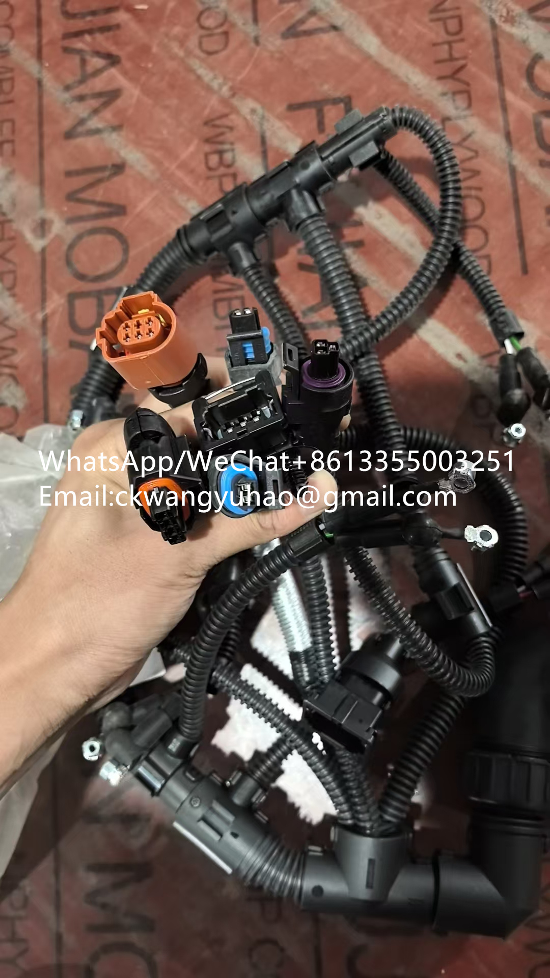 4110002196017 Wiring Harness