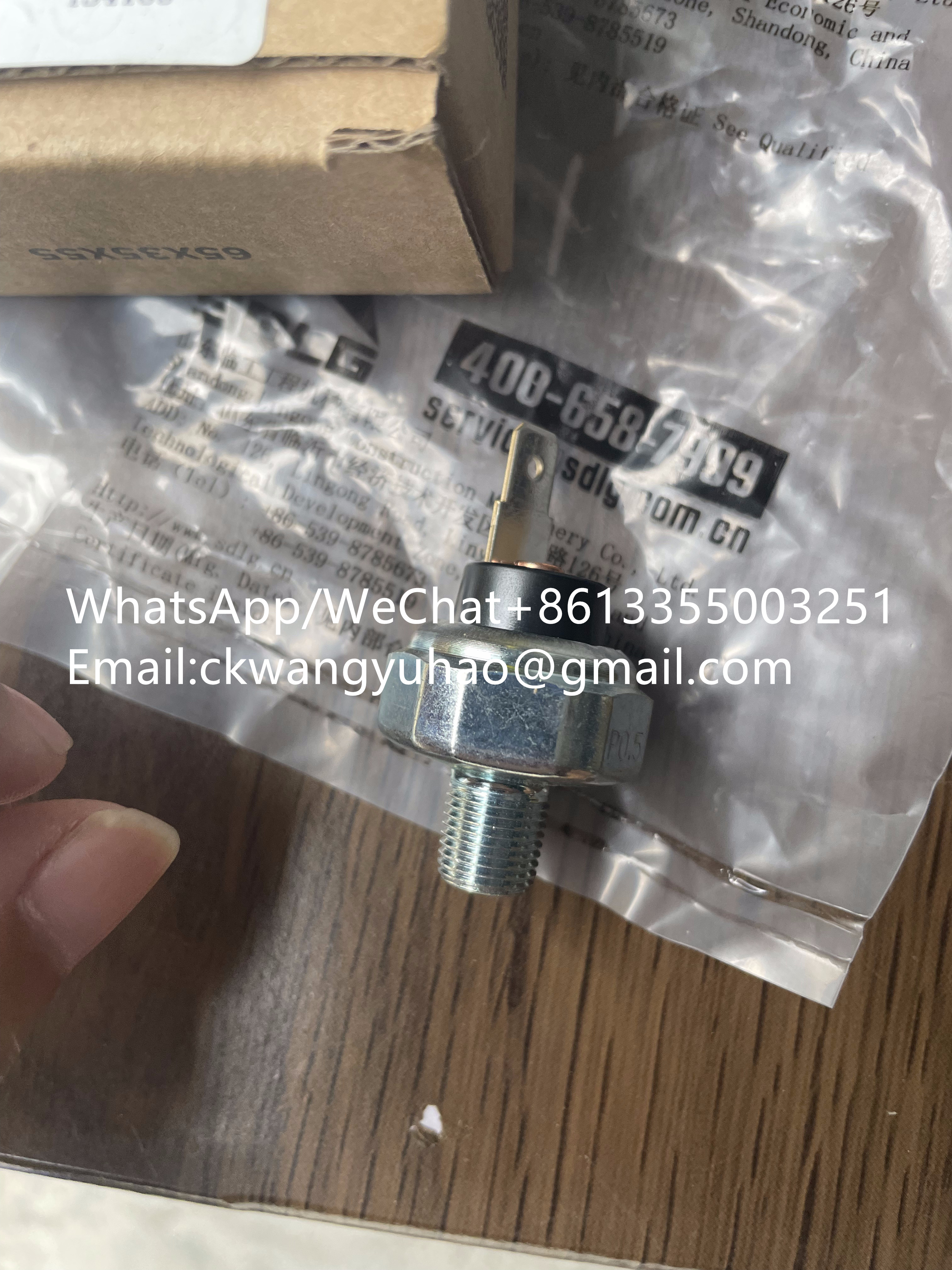 4110004063237 Switch