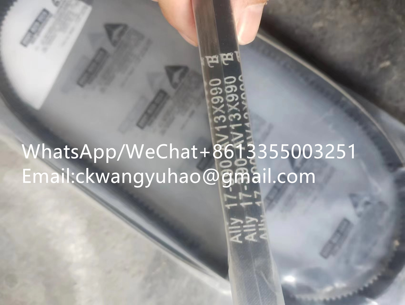 4190000627 Belt