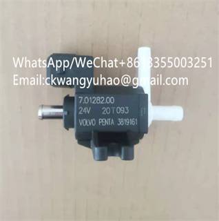 11223435-3819161SDLG-valves